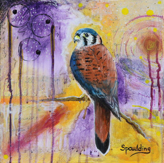 A colorful painting of a kestrel perched on a branch. The background blends vibrant purples and yellows with abstract circles and drips. Signed "Spaulding."